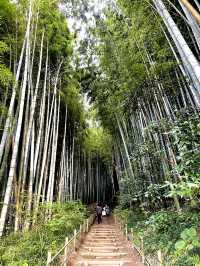 歴史ロマンを感じる竹林の小道