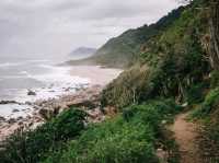 Muddy in the Heaphy Track