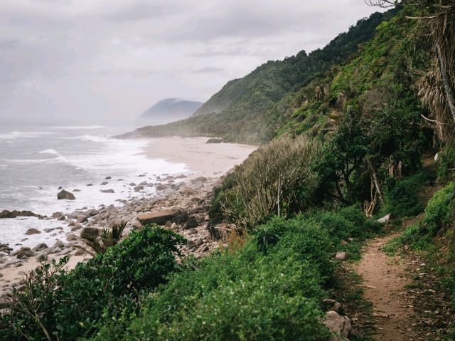 Muddy in the Heaphy Track