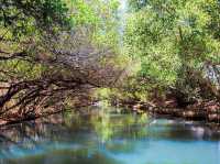 ✨ Sihcao Green Tunnel – Taiwan’s Mini Amazon in Tainan ✨🌿