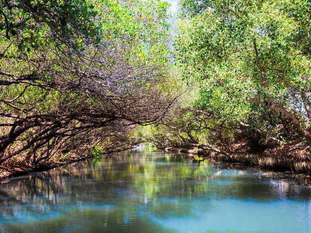 ✨ Sihcao Green Tunnel – Taiwan’s Mini Amazon in Tainan ✨🌿