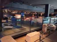 瓦倫西亞 | 考古歷史迷必逛：La Almoina Archaeological Museum