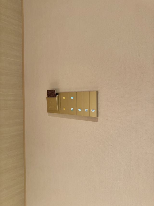 Vienna International Hotel, Guizhou China 🇨🇳  Vienna International Hotel, Guizhou China 🇨🇳