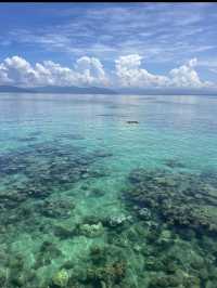 Green Island(グリーン島)