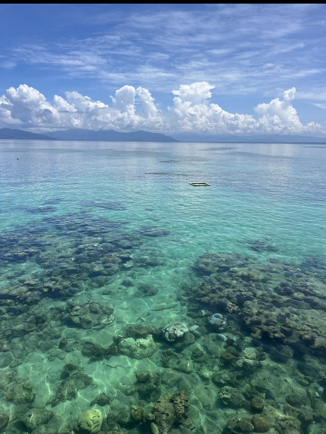 Green Island(グリーン島)