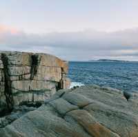 The Blow Holes