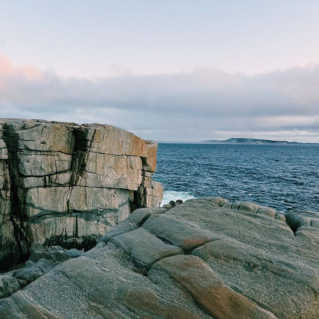 The Blow Holes