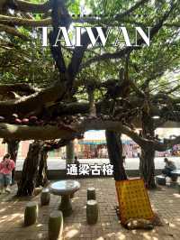 【台湾 澎湖】🌳緑の天蓋に包まれる──西嶼「通梁古榕」