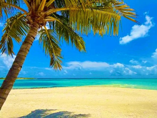 Le Méridien Maldives Resort & Spa — Where Creativity Meets Conservation Le Méridien Maldives Resort & Spa — Where Creativity Meets Conservation