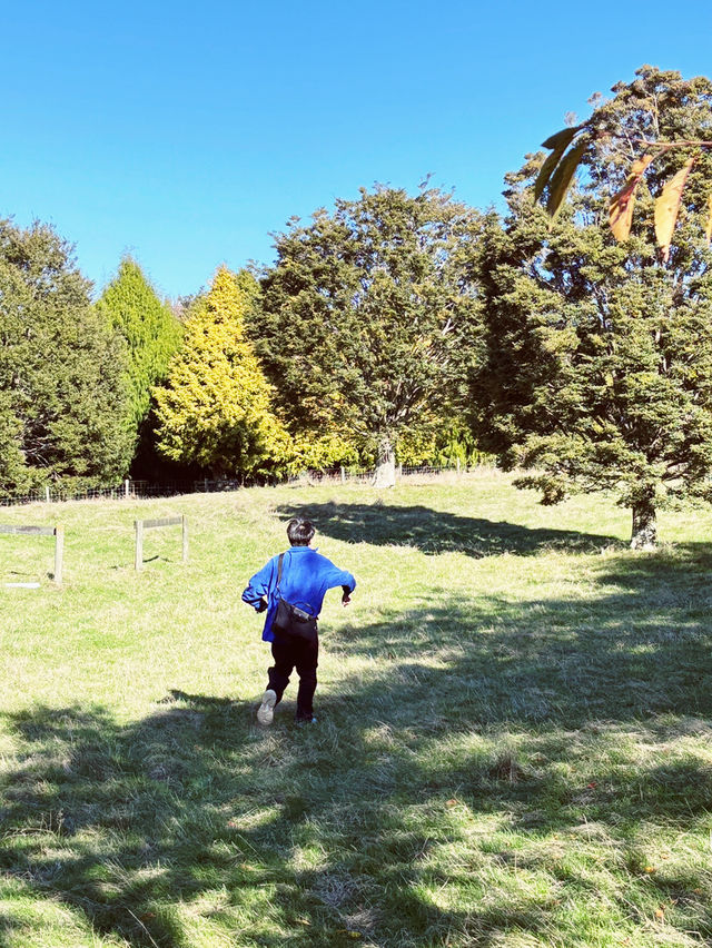 🌿 Centennial Park, New Zealand: Where Heritage Meets Untamed Beauty! 🍃