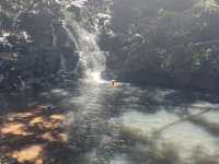 Bel Ombre Nature Reserve - Falls of Heaven in Mauritius 