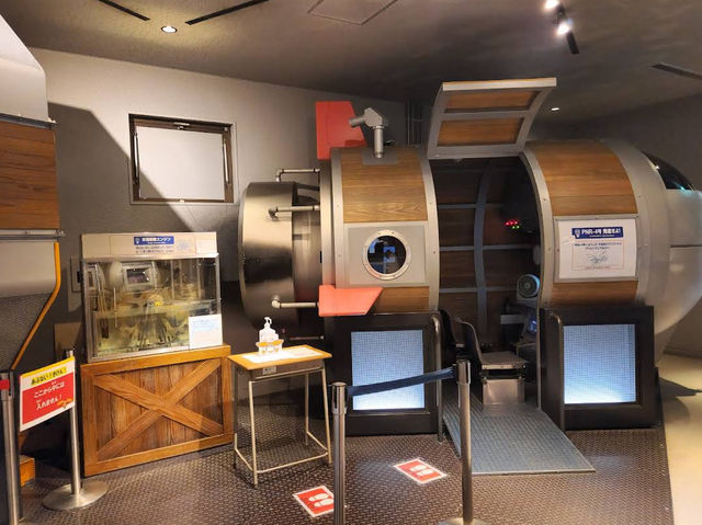 🧩 5-Days Children’s Cultural Science Museum — Where Curiosity Comes Alive