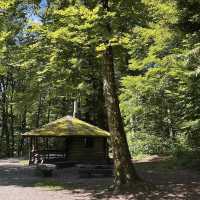 Loorenkopf Tower – Zurich’s Forest Lookout with a City View