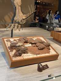 Natural History Museum ตื่นตาตื่นใจกับโลกดึกดำบรรพ์