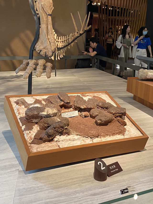 Natural History Museum ตื่นตาตื่นใจกับโลกดึกดำบรรพ์