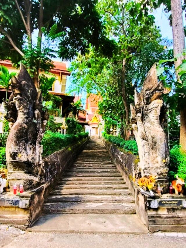 🌺วัดพระธาตุช่อแฮ พระอารามหลวง