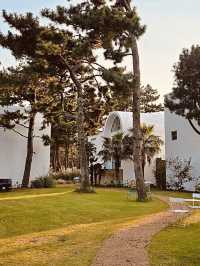 Idyllic Coastal Views and Peaceful Ambiance