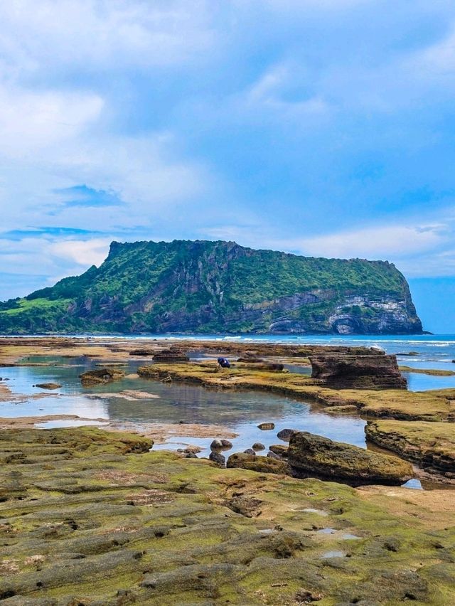 ✈️ 제주도 동쪽 가볼만한곳 + 맛집 + 카페