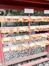 🍁 Nikko World Heritage Zone 🍂