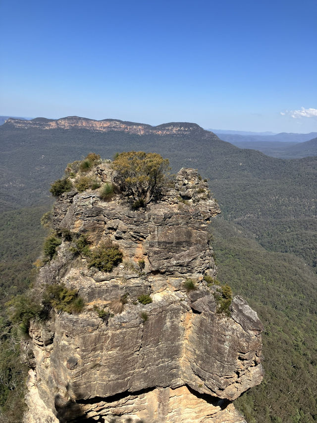 【オーストラリア・ニューサウスウェールズ州】大自然の絶景を感じる「ブルー・マウンテンズ」🏞️🌿🌄