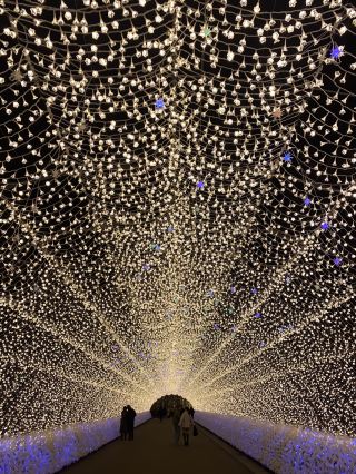 被光之魔法包圍 