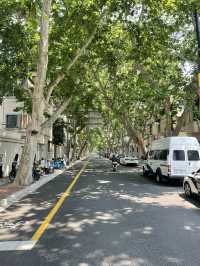 ํฌํ ์กด & ํ ๊ฐ์ฑ ํ๊ฐ๋! ์ํ์ด ํ์ ๊ด๊ด์ง โWukangโ๐ซง