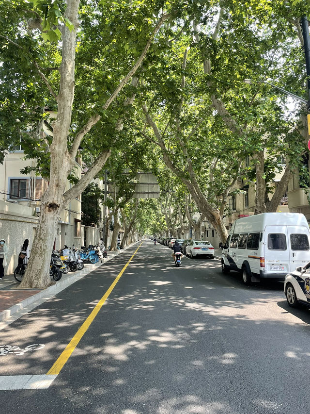 ํฌํ ์กด & ํ ๊ฐ์ฑ ํ๊ฐ๋! ์ํ์ด ํ์ ๊ด๊ด์ง โWukangโ๐ซง ํฌํ ์กด & ํ ๊ฐ์ฑ ํ๊ฐ๋! ์ํ์ด ํ์ ๊ด๊ด์ง โWukangโ๐ซง