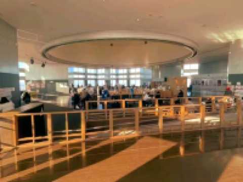 🏙️ Tokyo Metropolitan Government Building South Observatory — A Sky-High View for Free