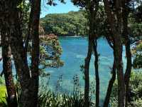 Underwater Playground For Curious Explorers