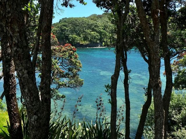 Underwater Playground For Curious Explorers
