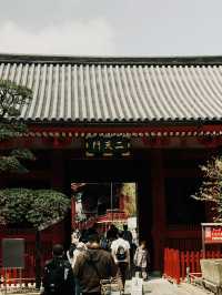  🌸 Sakura Dreams in Tokyo: A Springtime Escape 🌸