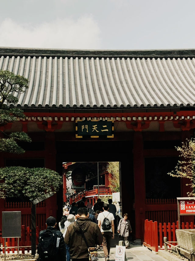  🌸 Sakura Dreams in Tokyo: A Springtime Escape 🌸