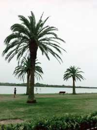 澳洲海邊慢活散步必去島嶼🌊  