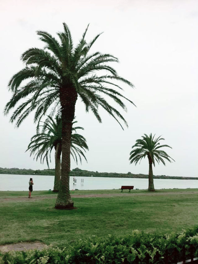 澳洲海邊慢活散步必去島嶼🌊  