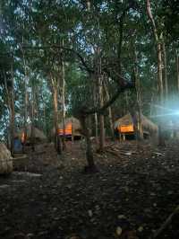 Big Dream Boatman - Once in a lifetime experience