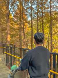 충청도 가을여행지 청주 미동산수목원 실시간✨