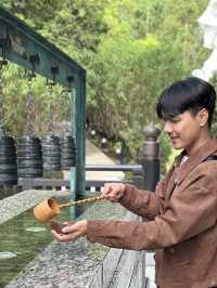TSZ SHAN MONASTERY ~ วัดซีซ้าน