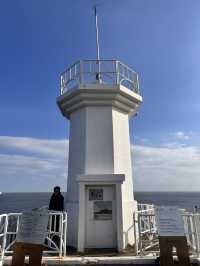 濟州島東岸-涉地可支