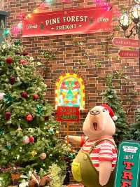 A Glimmering Cocoon: Christmas at Admiralty's Heart