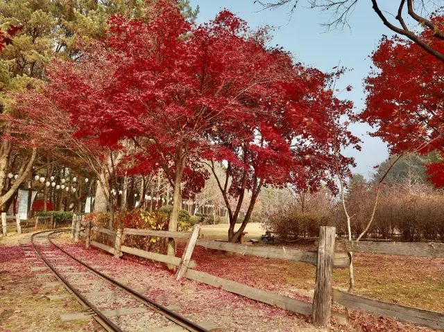 남이섬으로의 완벽한 당일치기 여행