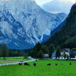 ログアル渓谷（Logarska dolina）