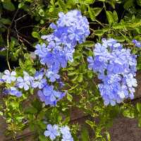 คาเฟ่สโลว์บาร์เล็กๆ สไตล์โฮมมี่สุดชิล #เชียงใหม่ ☕️