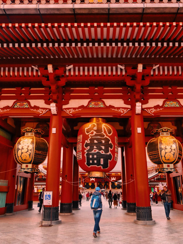 Sensoji Lights Up🌙