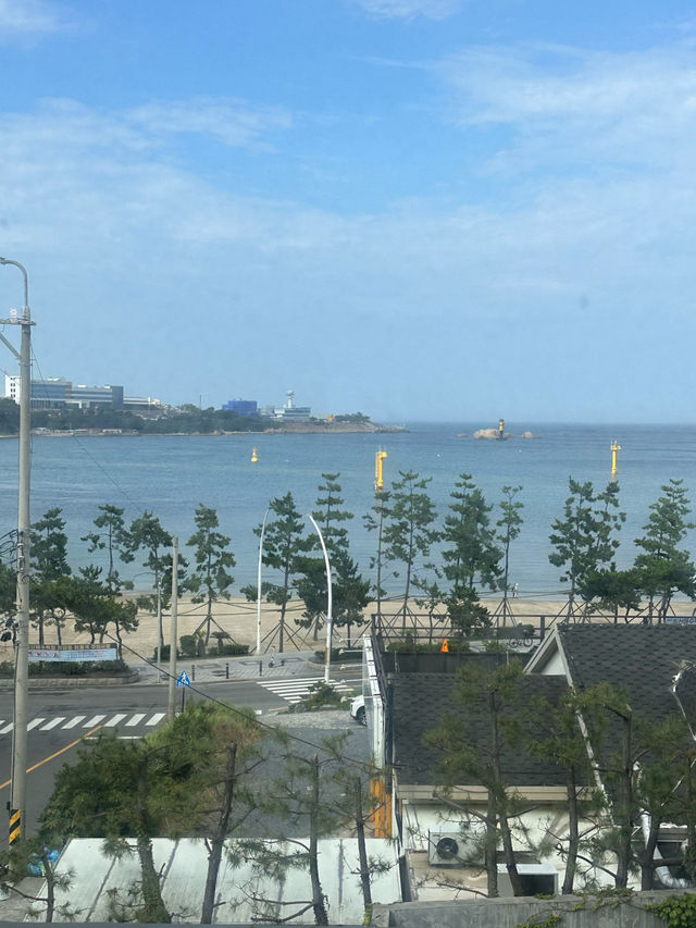 🤎울산 동구 대형 카페 인얼스커피 🤎울산 동구 대형 카페 인얼스커피