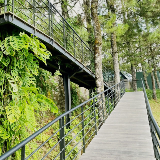 Mist & Morning Brews Mist & Morning Brews