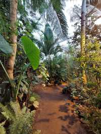 🌿 A Calm, Green Escape at Botanisk Have