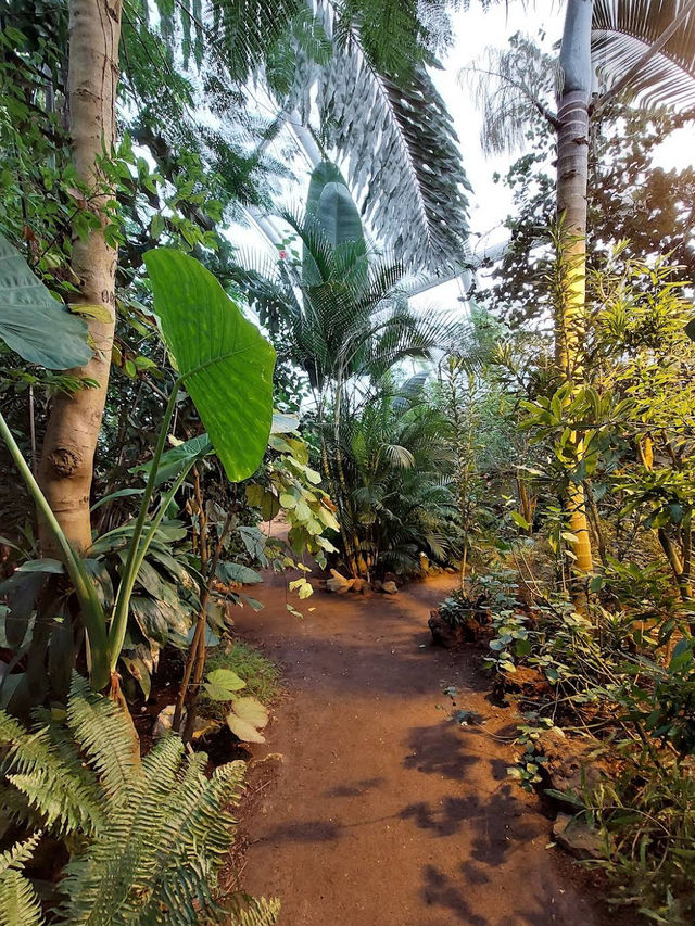 🌿 A Calm, Green Escape at Botanisk Have 🌿 A Calm, Green Escape at Botanisk Have