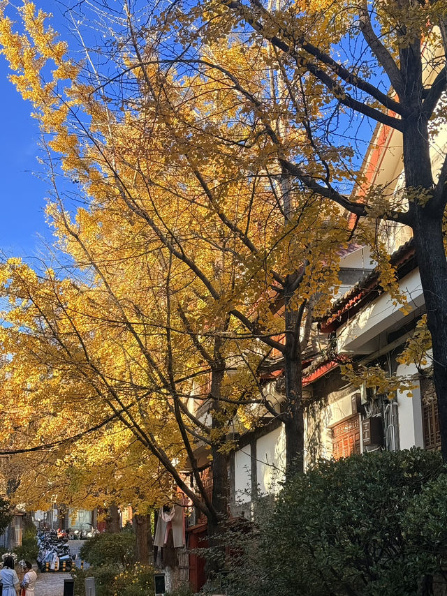 ลี่เจียง เมืองโบราณที่โรแมนติกที่สุดในทริปนี้ ลี่เจียง เมืองโบราณที่โรแมนติกที่สุดในทริปนี้