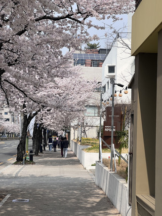 A City of Vibes and Flavor: Must-Visit Itinerary in Gwangju 。