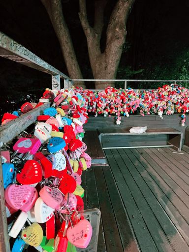 Romantic Night Ride & Love Locks at Namsan Cable Car | Trip.com Seoul